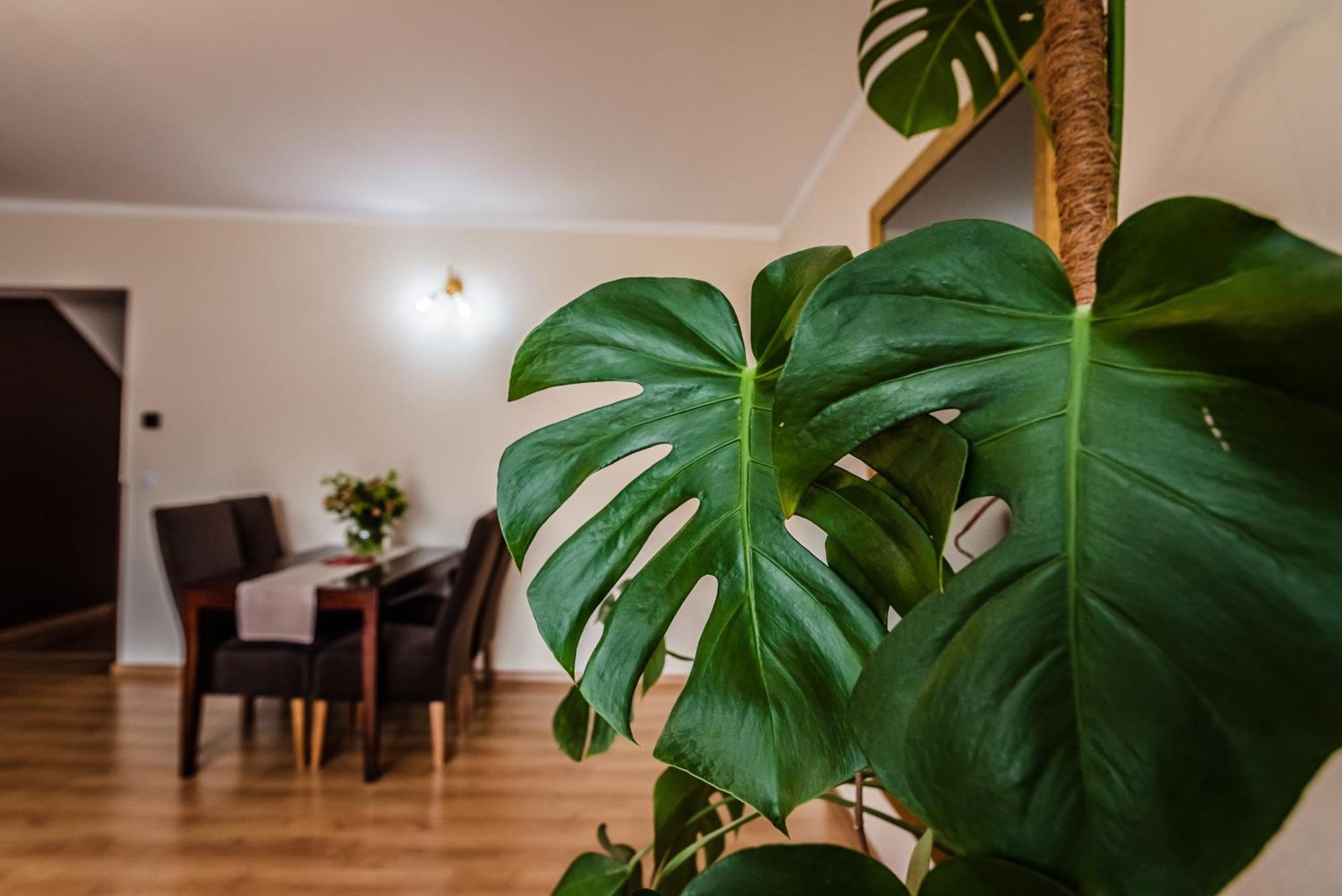 Apartamenty Widok Шчавница Екстериор снимка