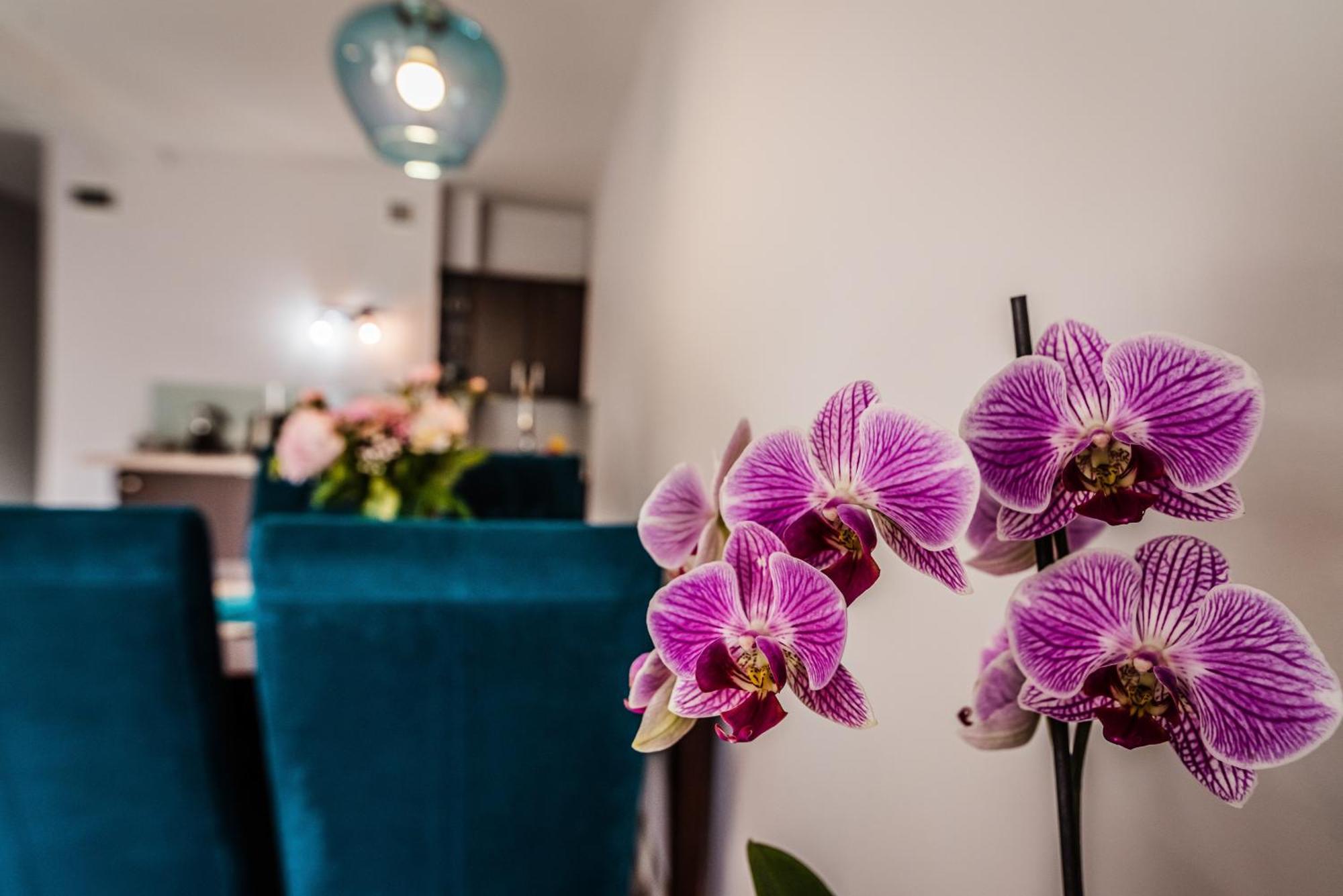 Apartamenty Widok Шчавница Екстериор снимка